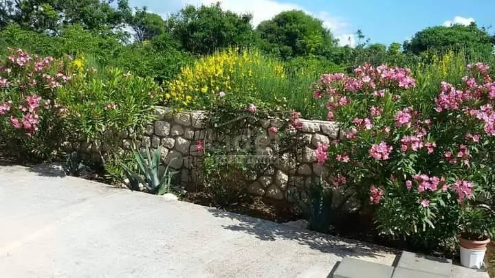 novalja, manji obiteljski hotel 1.000m2 prodaja - slika 11
