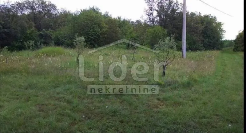 oprtalj kamena kuća s velikom okućnicom - prilika - slika 3
