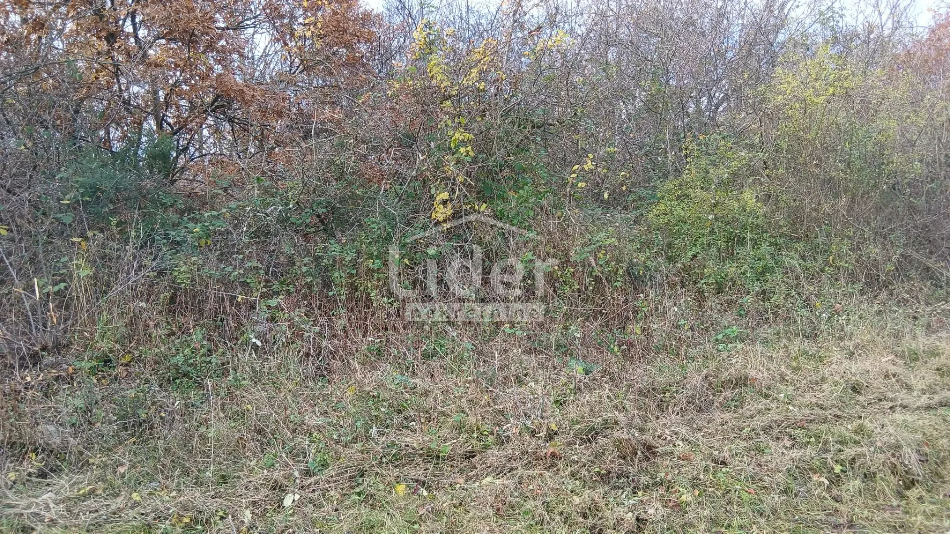 veliko poljoprivredno zemljište blizu kanfanara - slika 7