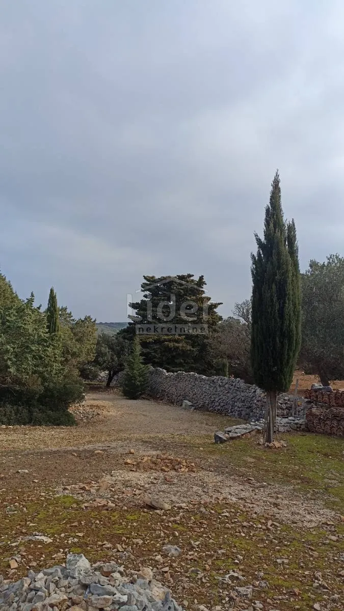 samostojeća kuća mali lošinj 60m2, zemljište 76.000m2 - slika 14