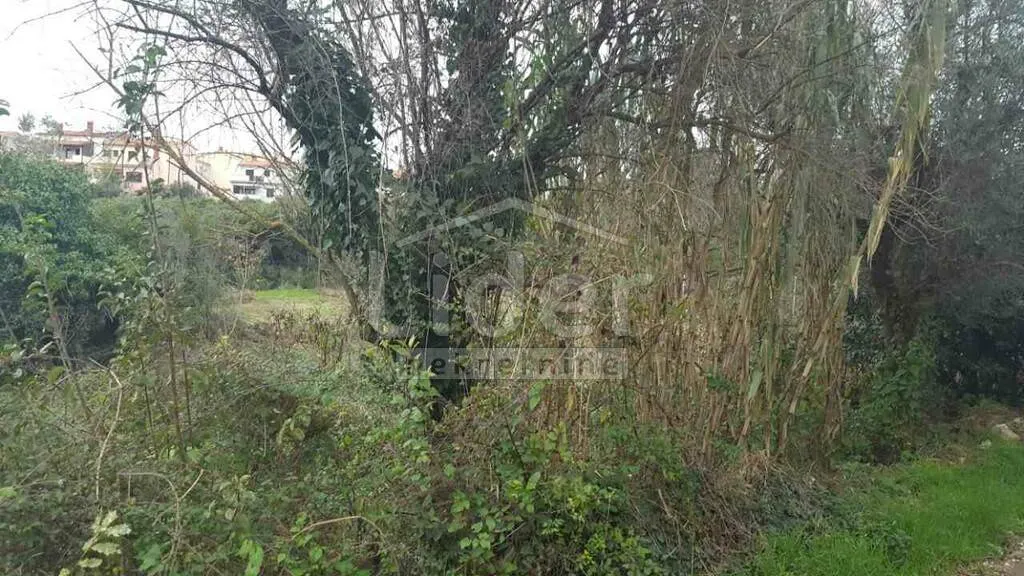 istra-medulin (okolica) zemljište 200 m od mora - slika 3