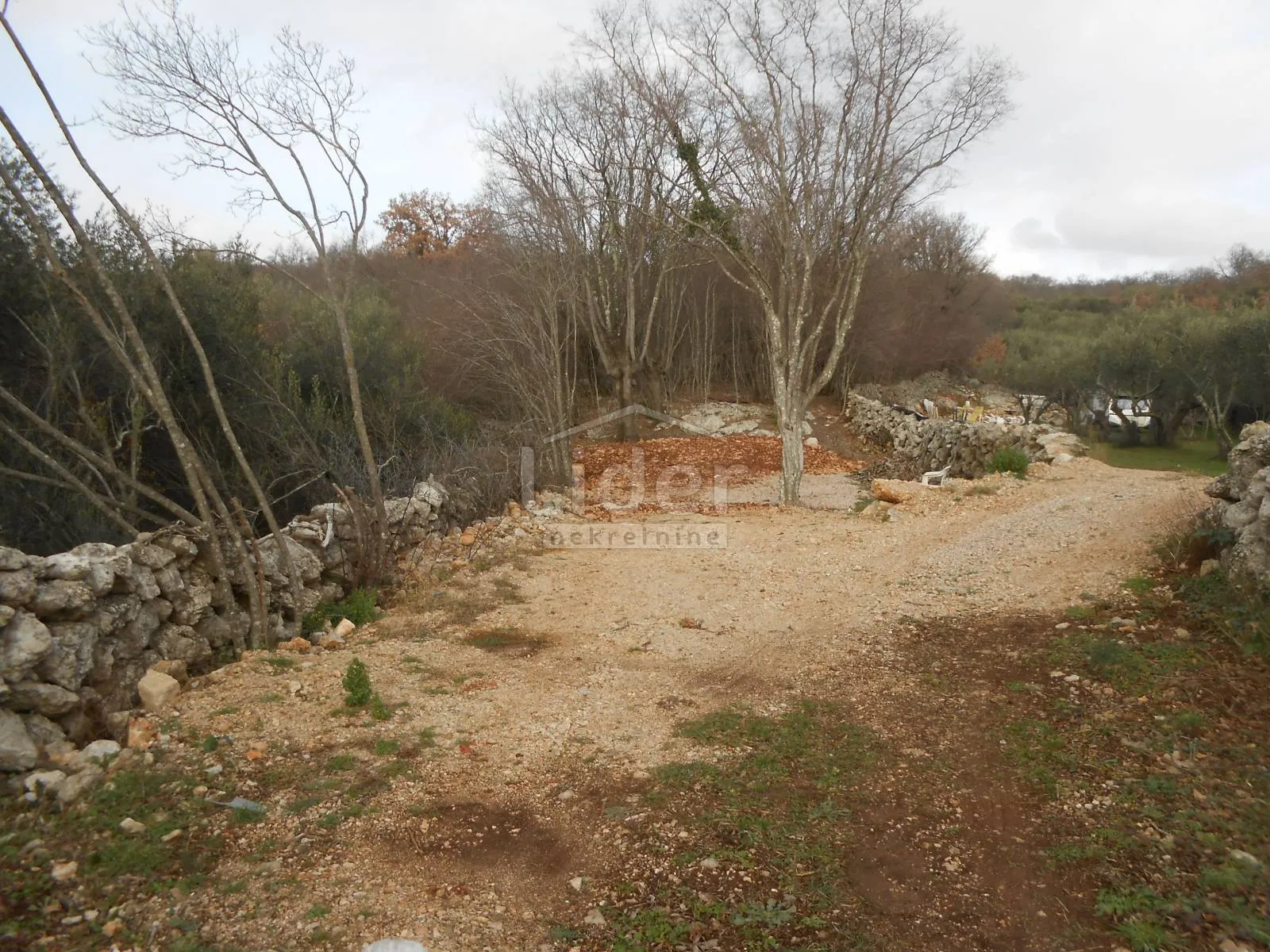 bajčići (krk) maslinik i poljoprivredno zemljište - slika 8