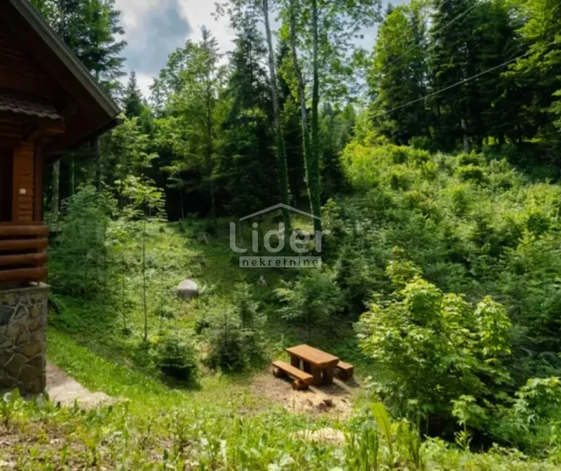 kuća u oazi mira i tišine ,vrbovsko - slika 2