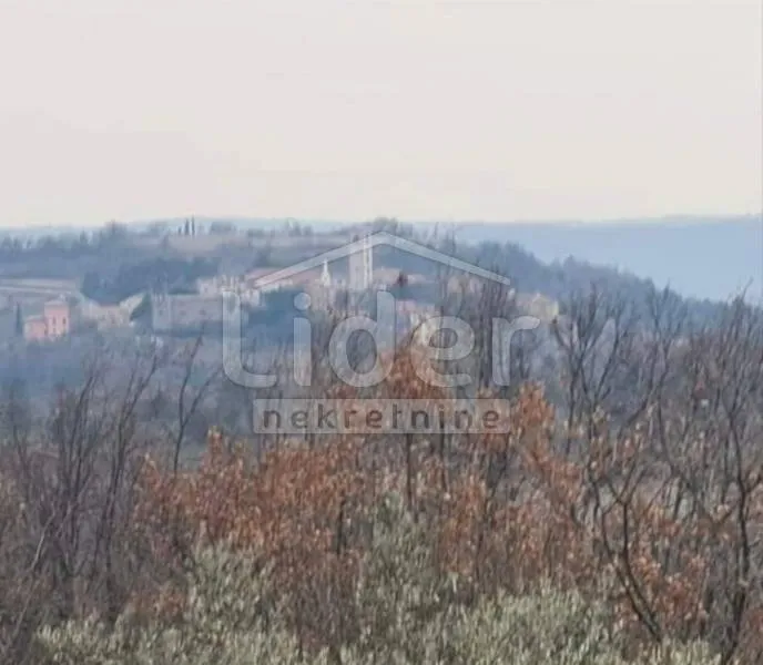 oprtalj kamena kuća s velikom okućnicom - prilika - slika 10