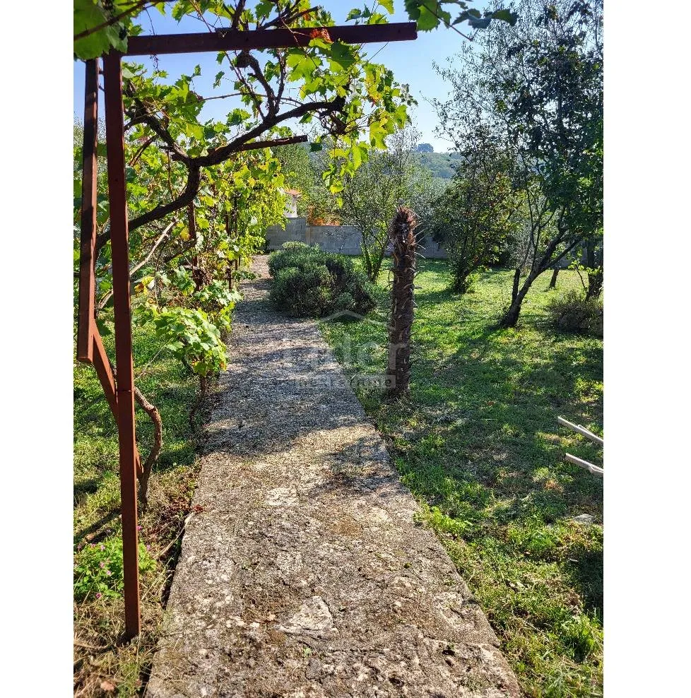 rovinj, rovinjsko selo, samostojeća kuća sa 1.507m2 okućnice - slika 16
