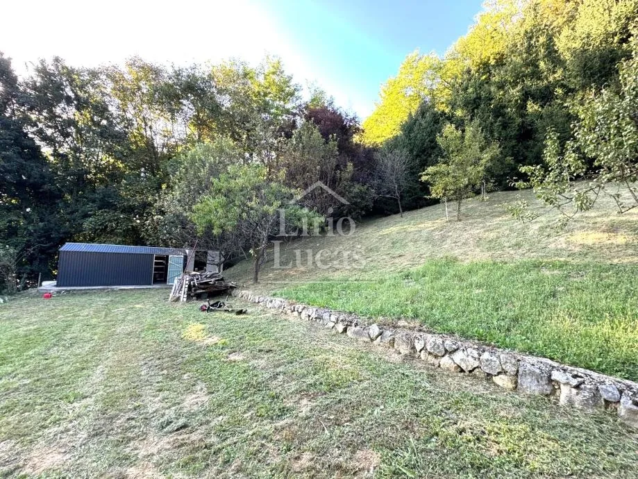 bobovec rozganski - slika 6