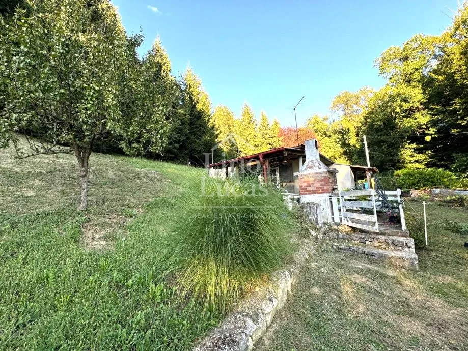 bobovec rozganski - slika 8