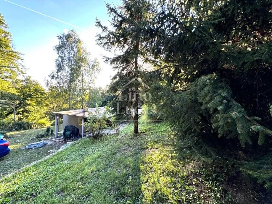 bobovec rozganski - slika 9