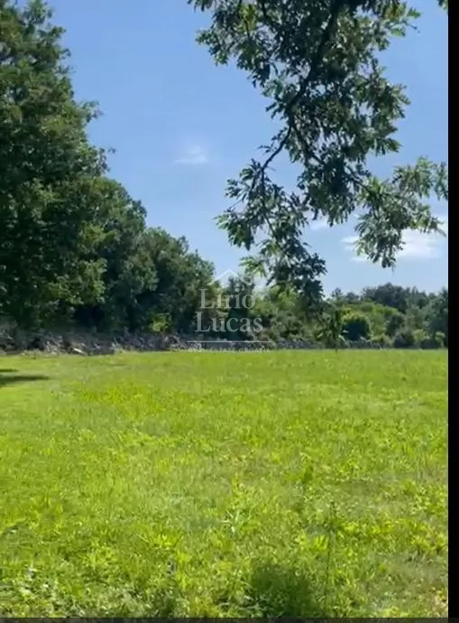 poljoprivredno zemljište, sveti petar u šumi, 10 262 m2 - slika 2