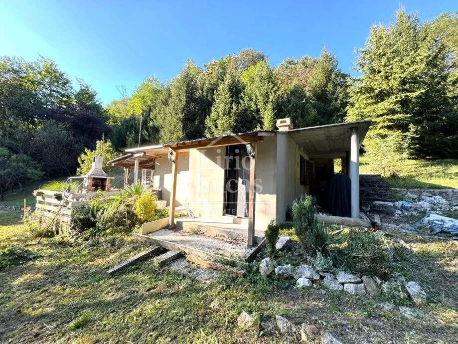 bobovec rozganski - slika 3