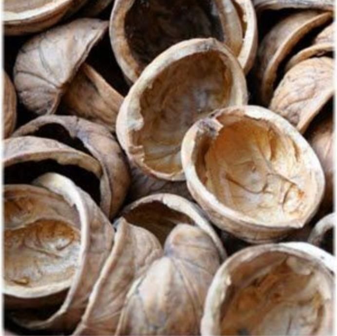 Ljuska oraha i lešnjaka 0.27e /kg 200 tona