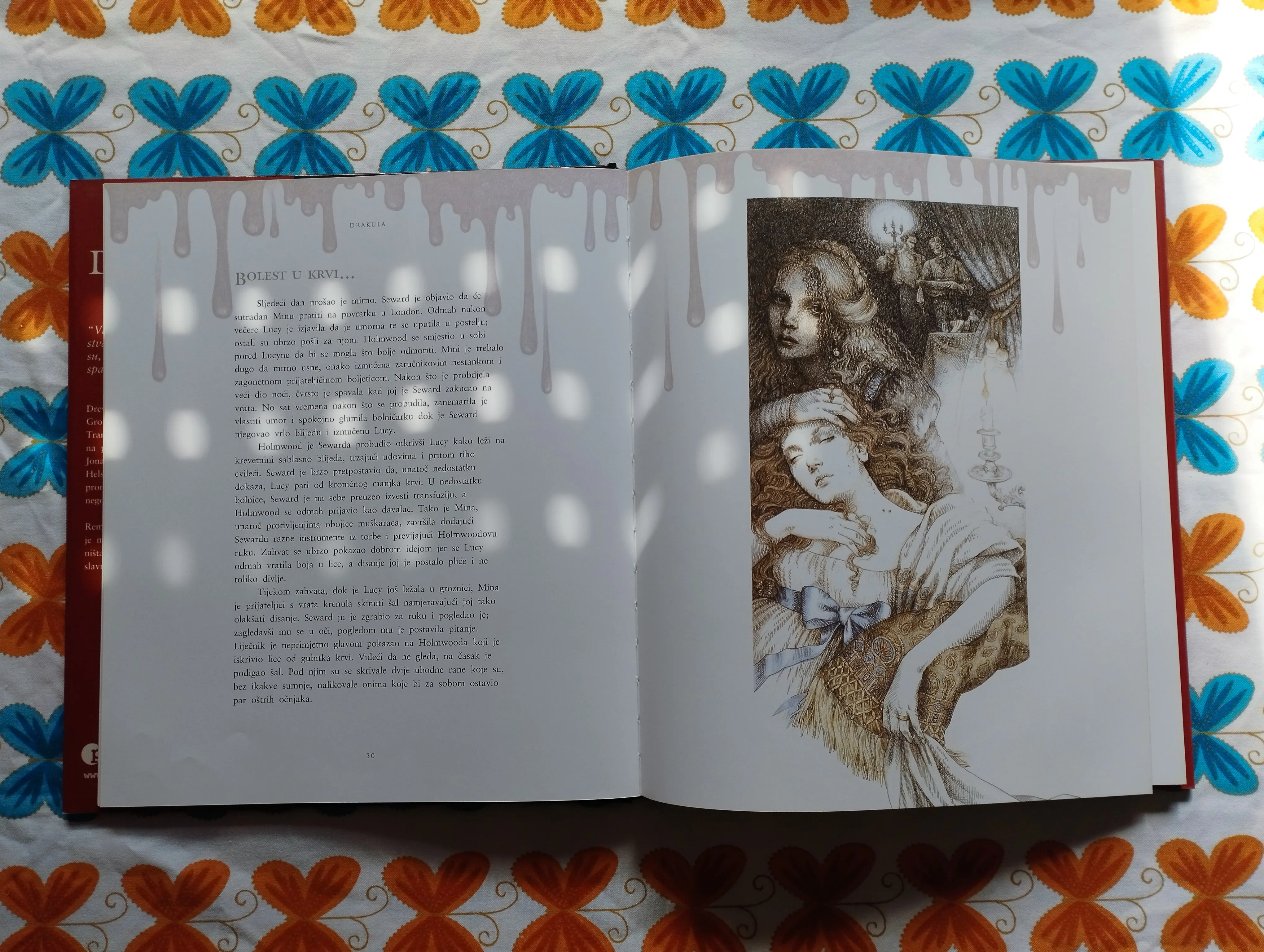 bram stoker - drakula - adaptirao nicky raven - slika 6