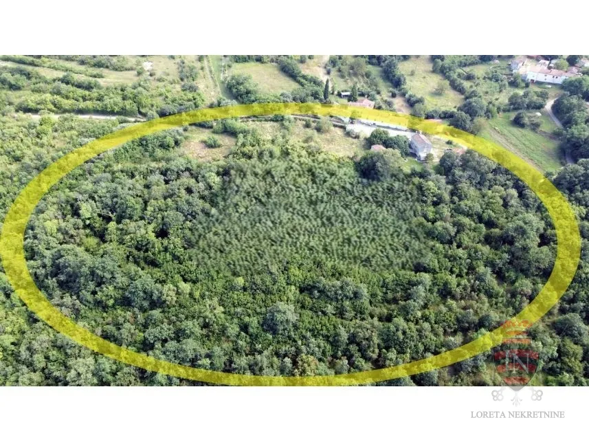 imanje na prodaju 23 761 m2, labin, istra - slika 6