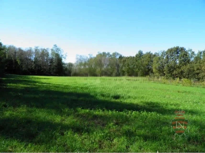 imanje za prodaju oko 50 000 m2 s kućom, istra - slika 7