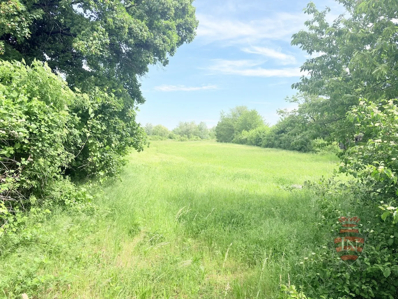 razvojna lokacija uz slavonska avenija | 8.308 m² | m1 / m2 | pravilan oblik | mogućnost okrupnjavanja - slika 15