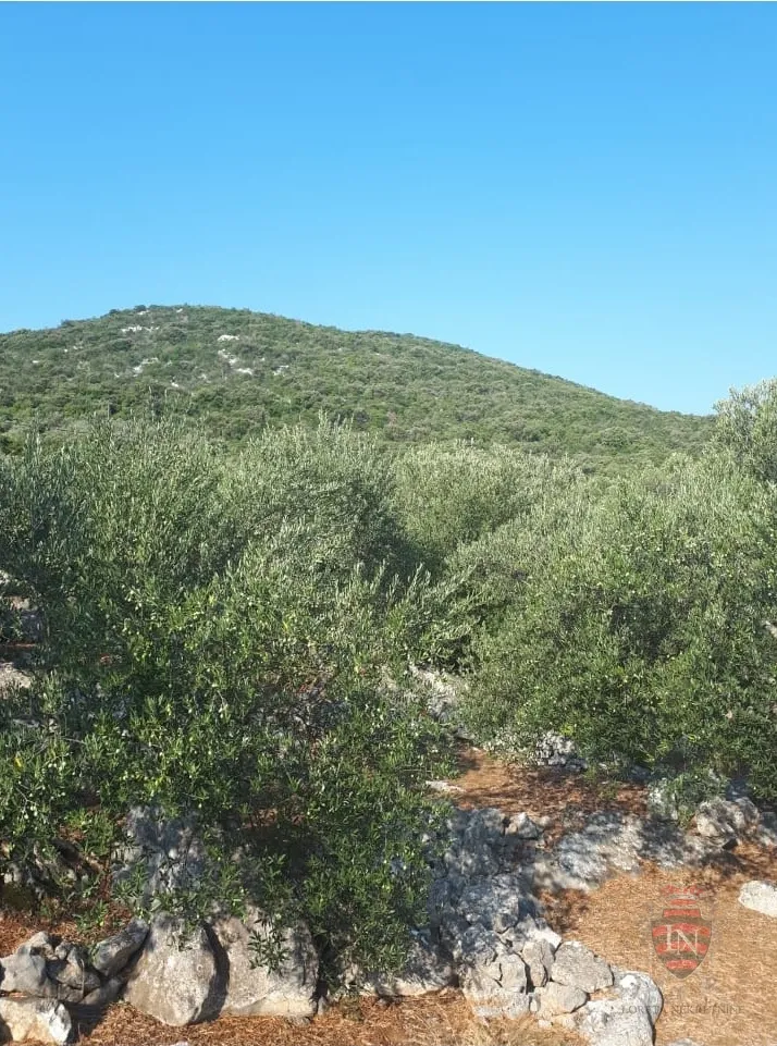zemljište s projektom i dozvolom oko 700 m2, pelješac - slika 15