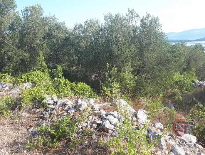 zemljište s projektom i dozvolom oko 700 m2, pelješac - slika 13