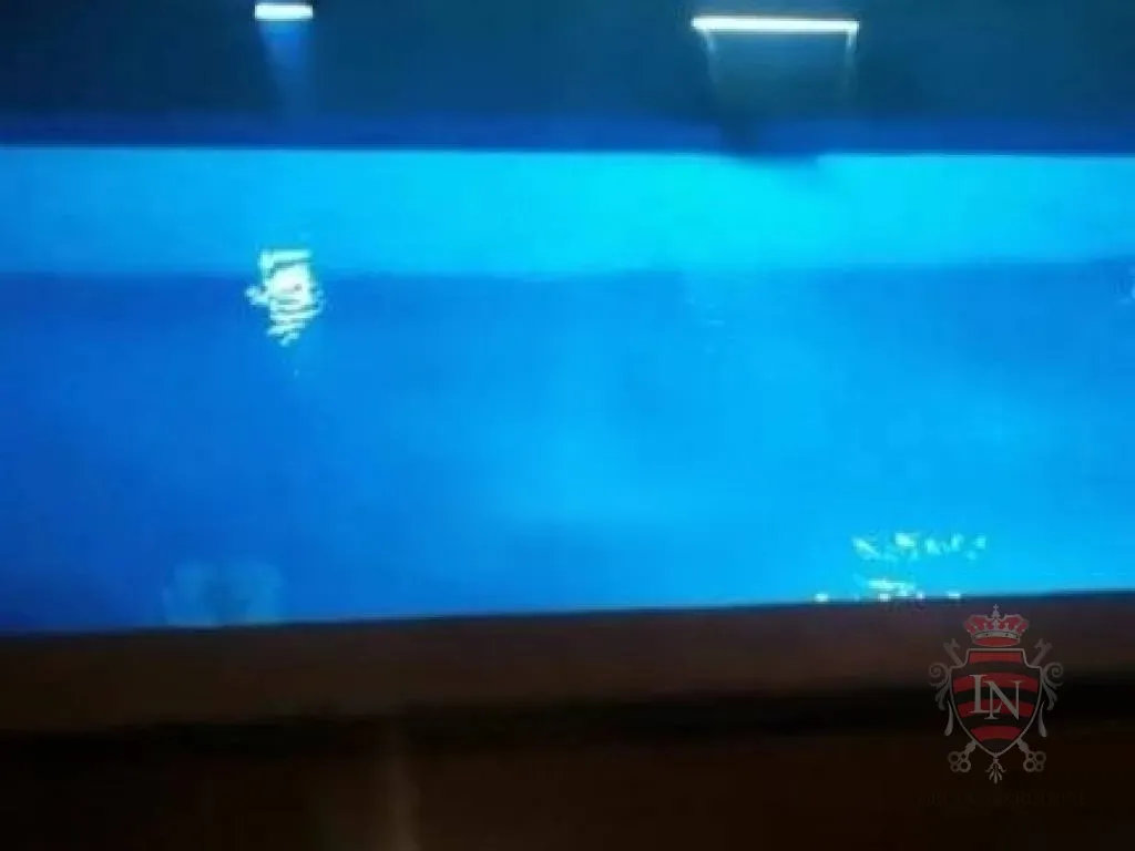 kuća s bazenom buje 220 m2 - slika 4