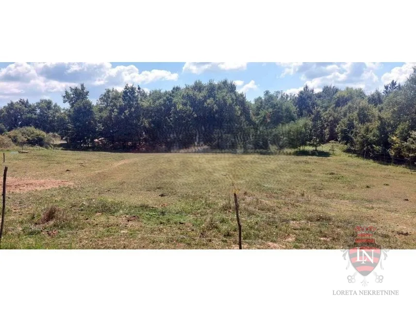 građevinsko zemljište 4300 m2, pićan, istra - slika 5