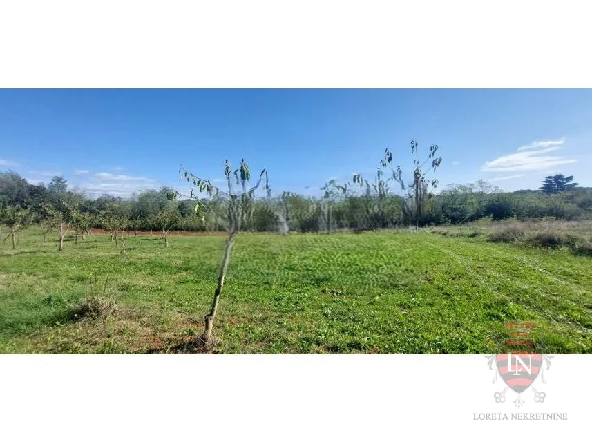 građevinsko zemljište 5102 m2, višnjan, istra - slika 4
