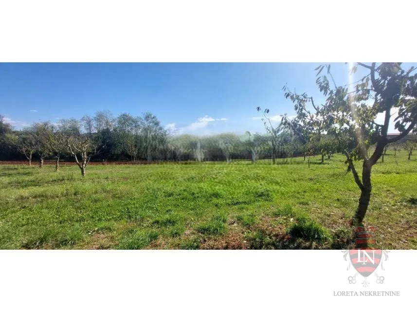 građevinsko zemljište 5102 m2, višnjan, istra - slika 3