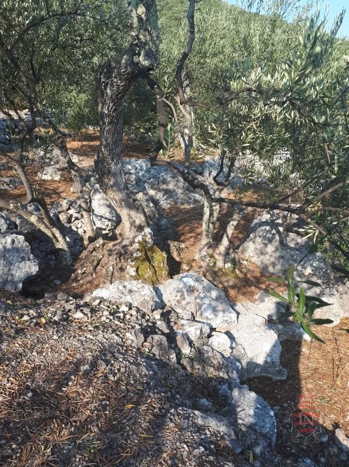 zemljište s projektom i dozvolom oko 700 m2, pelješac - slika 32