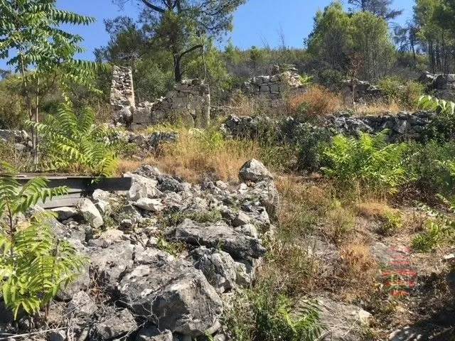 građevinsko-poljoprivredno zemljište, morkan, korčula, 104000 m2 - slika 4