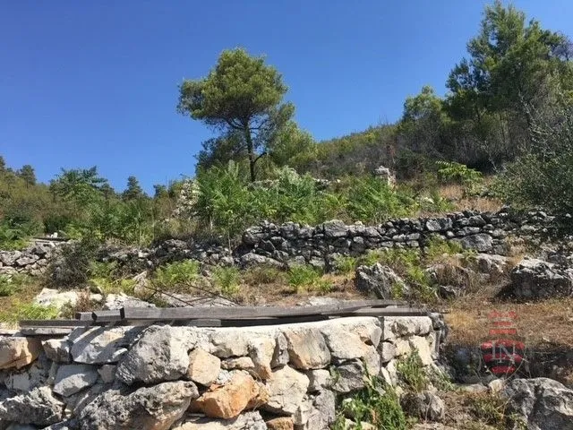 građevinsko-poljoprivredno zemljište, morkan, korčula, 104000 m2 - slika 8