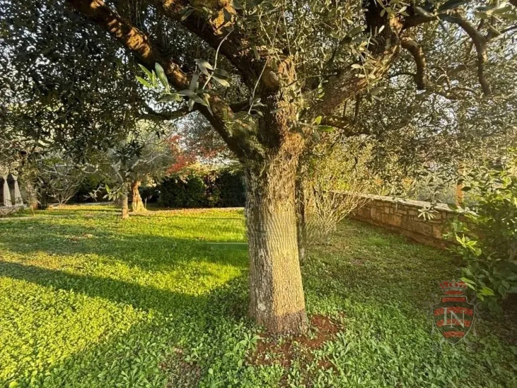 kuća 140 m2, buje, istra - slika 10
