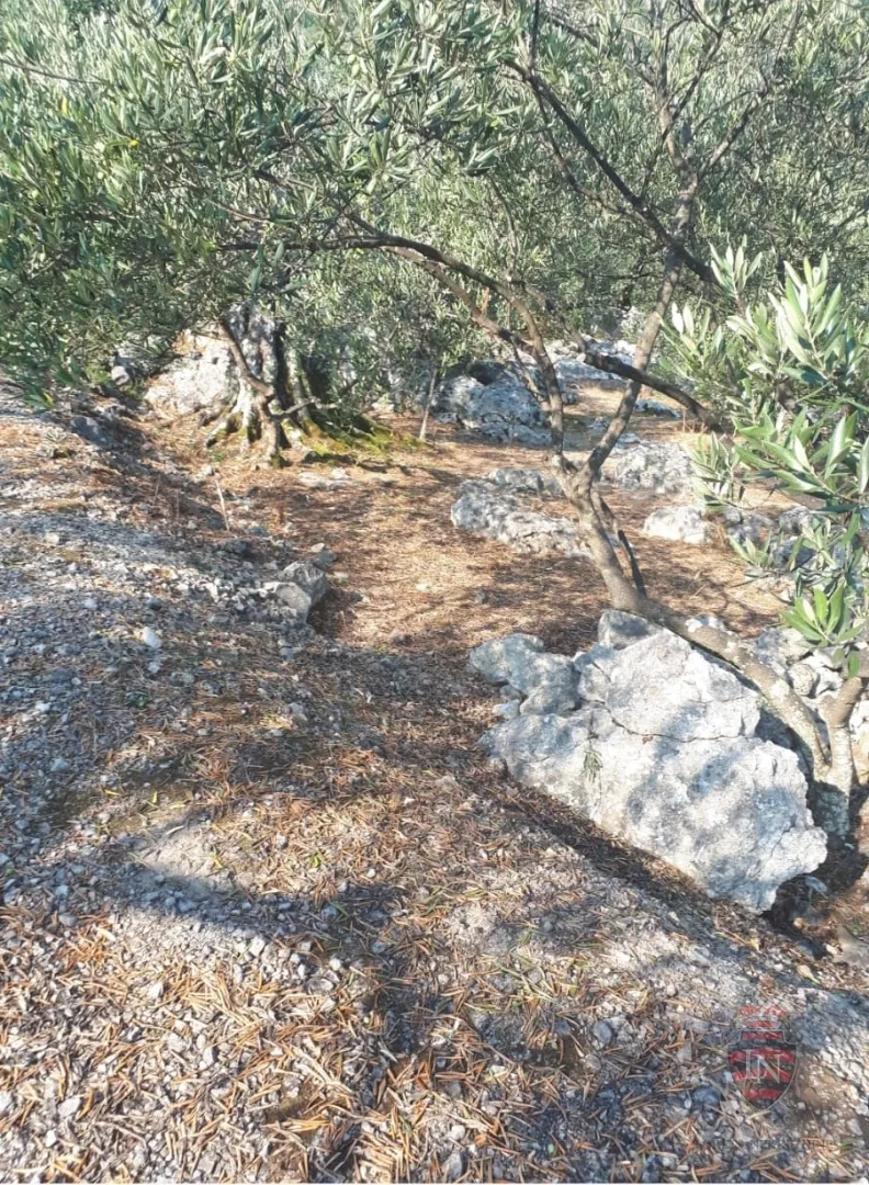 zemljište s projektom i dozvolom oko 700 m2, pelješac - slika 34