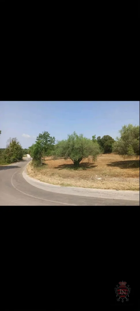 građevinsko zemljište 1195 m2, pavićini - slika 2
