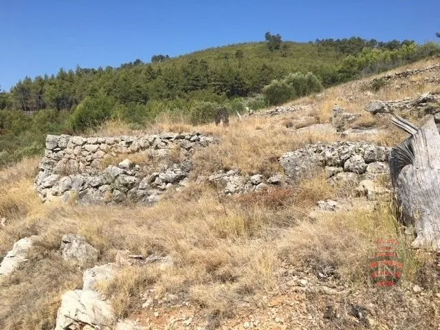 građevinsko-poljoprivredno zemljište, morkan, korčula, 104000 m2 - slika 9