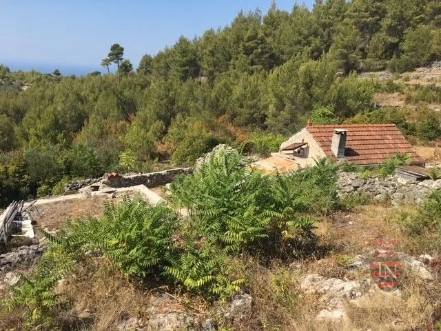 Građevinsko-poljoprivredno zemljište, Morkan, Korčula, 104000 m2 - Čara, Korčula
