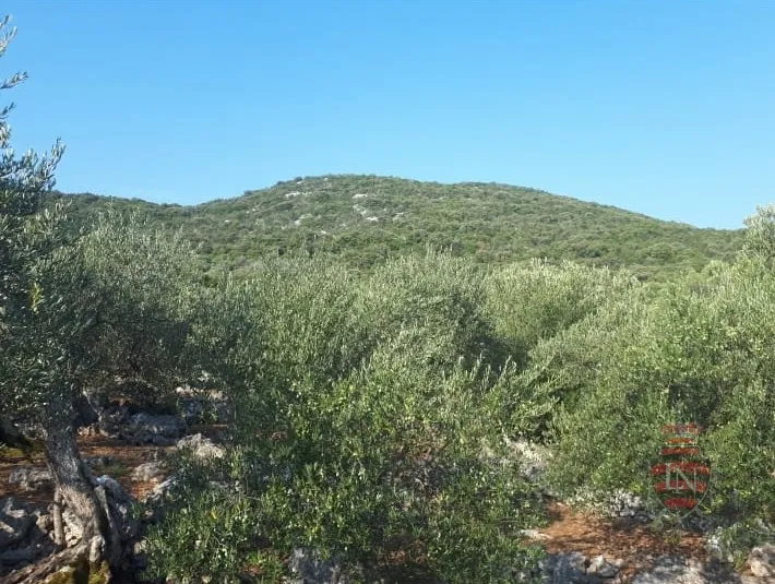 zemljište s projektom i dozvolom oko 700 m2, pelješac - slika 20