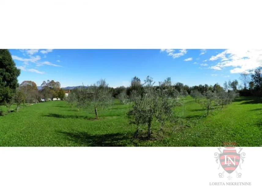 imanje za prodaju oko 50 000 m2 s kućom, istra - slika 5