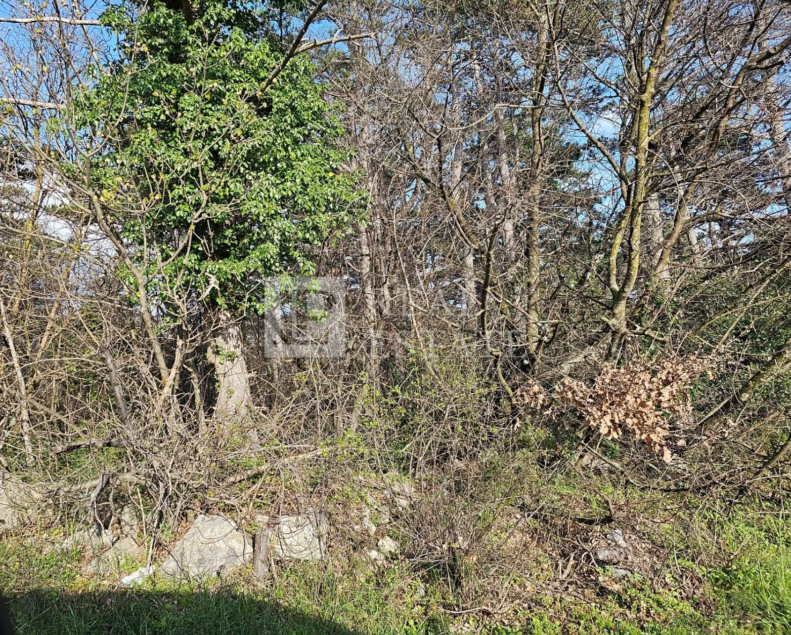 crikvenica - građevinsko zemljište na mirnoj lokaciji - slika 4