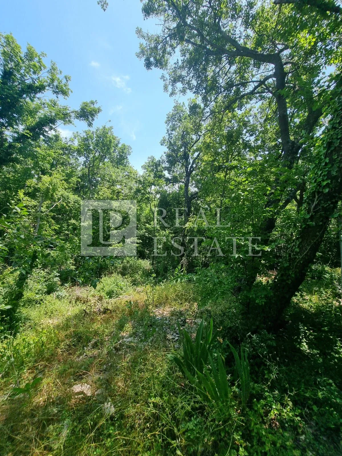 kraljevica - zemljište s pogledom na more - slika 2