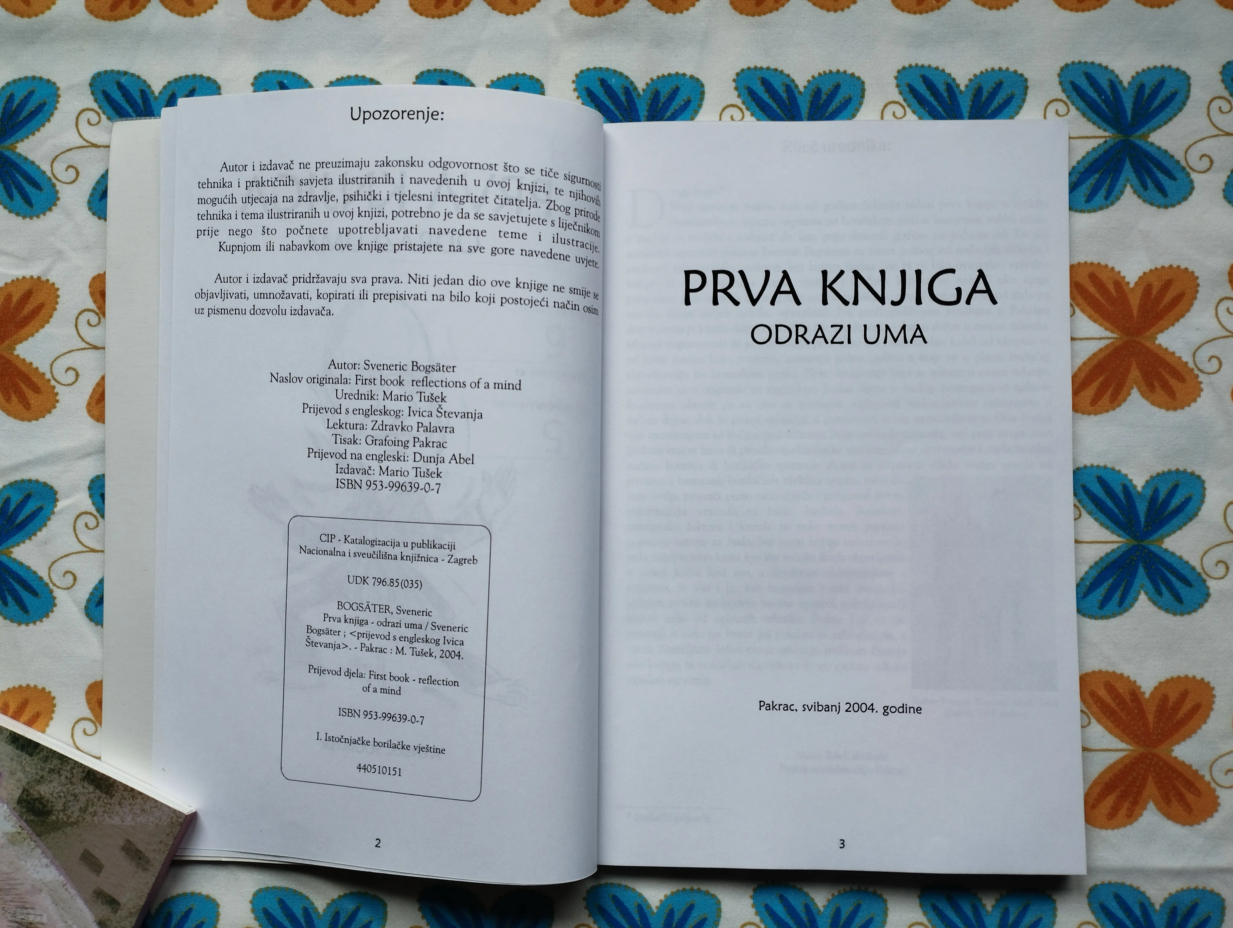 sveneric bogsater - prva knjiga odrazi uma - slika 4