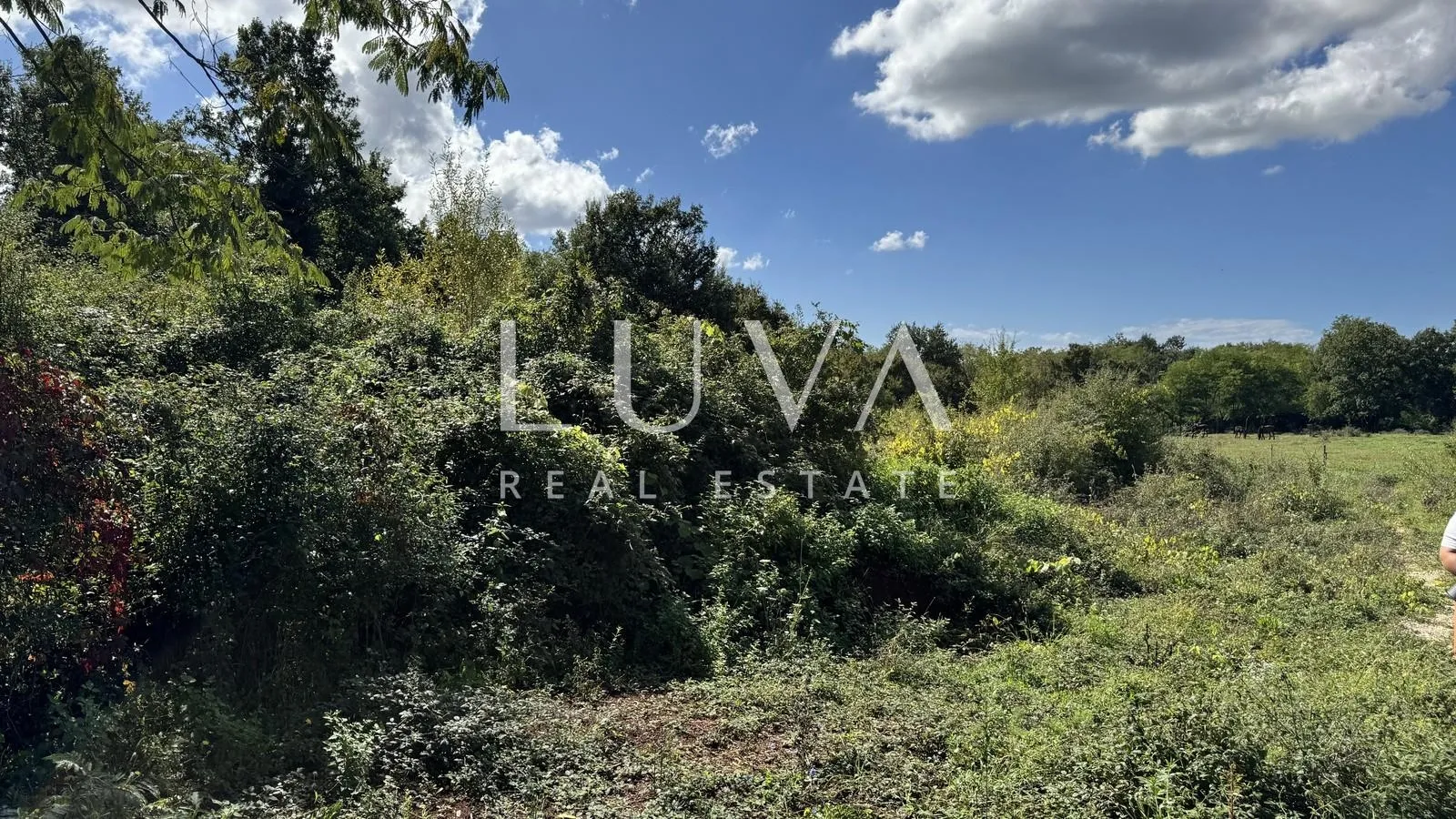 istra, poreč, građevinsko zemljište 926m2 na prodaju - slika 8