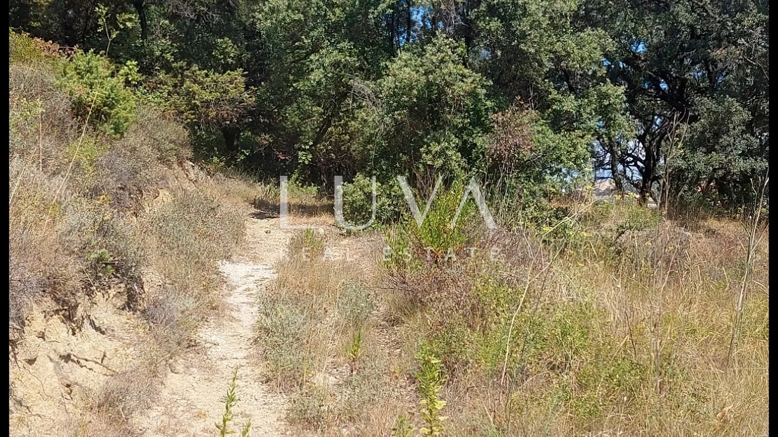 rab, supetarska draga, građevinsko zemljište 2000m2 na prodaju - slika 6
