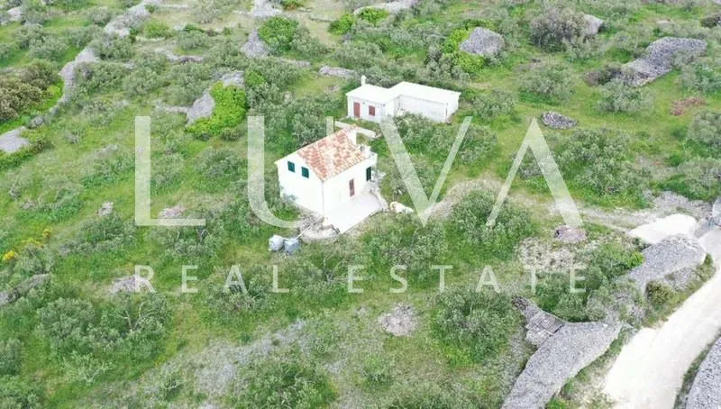 brač, povlja, zemljište s maslinikom i pogledom na more, 3839 m2 - slika 6