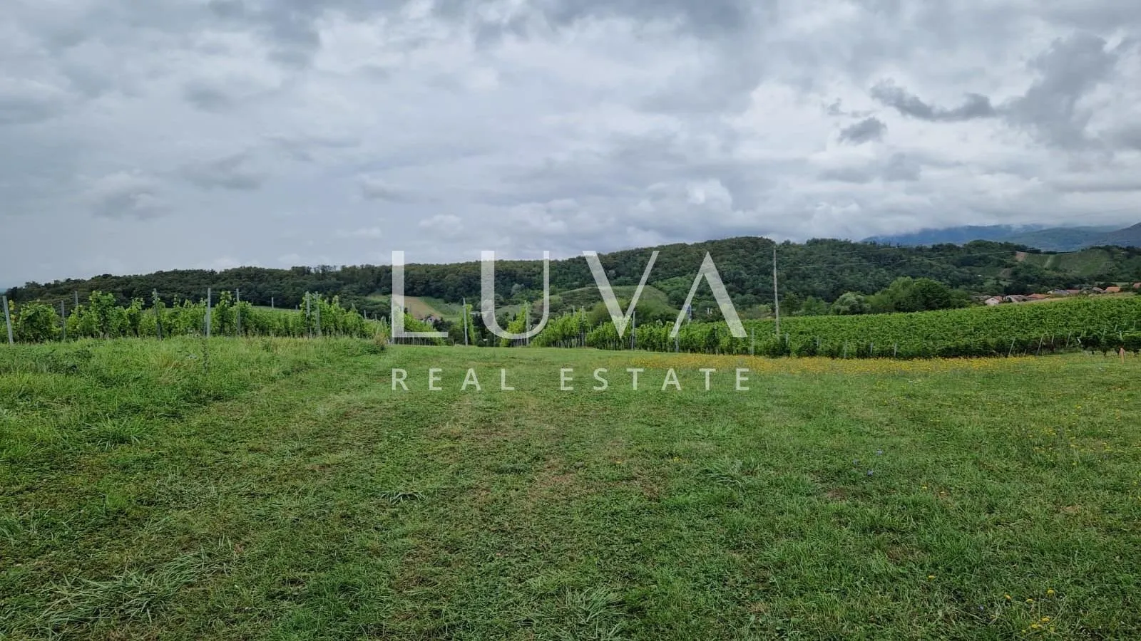 jastrebarsko, građevinsko zemljište 3000m2 na prodaju - slika 3