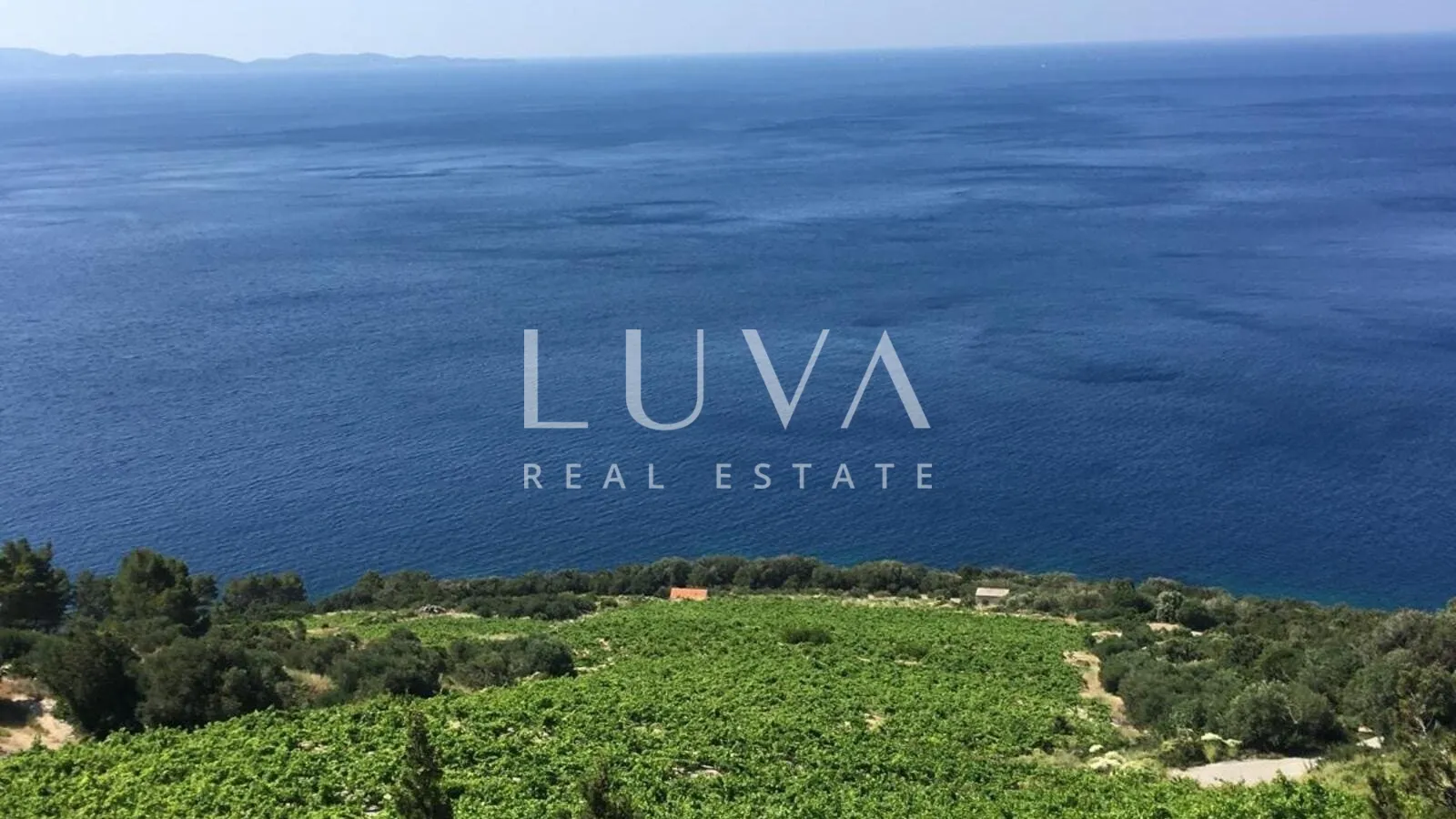 Pelješac, Potomje, zemljište 50.000 m2 s vinogradom na prodaju - Potomje, Orebić
