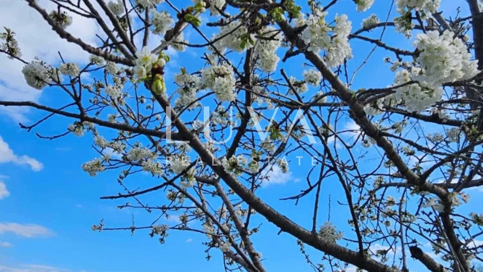 kvarner, brseč, građevinsko zemljište 1.173 m2 s pogledom na more na prodaju - slika 17