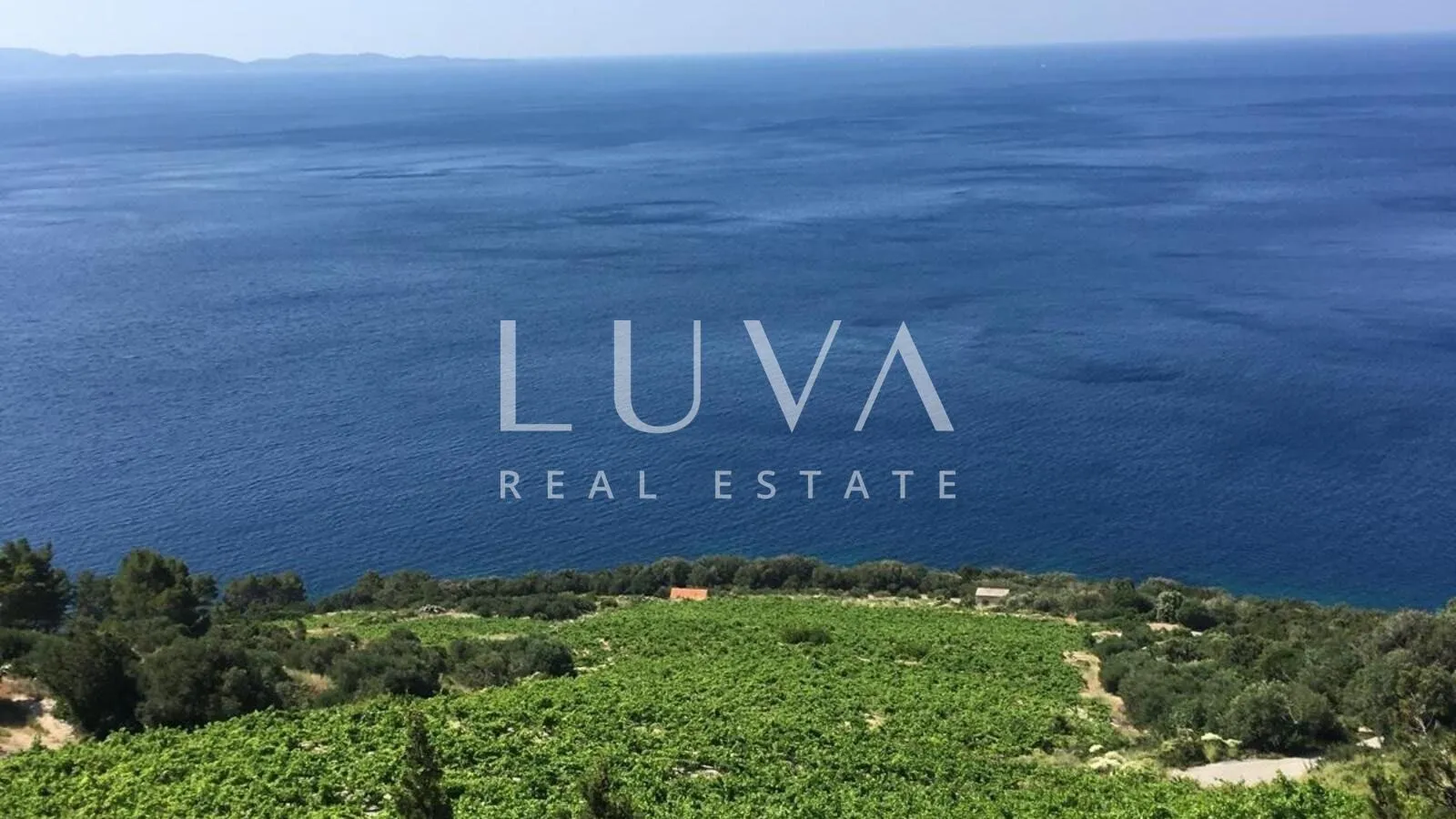 Pelješac, Potomje, zemljište 50.000 m2 s vinogradom na prodaju - Potomje, Orebić