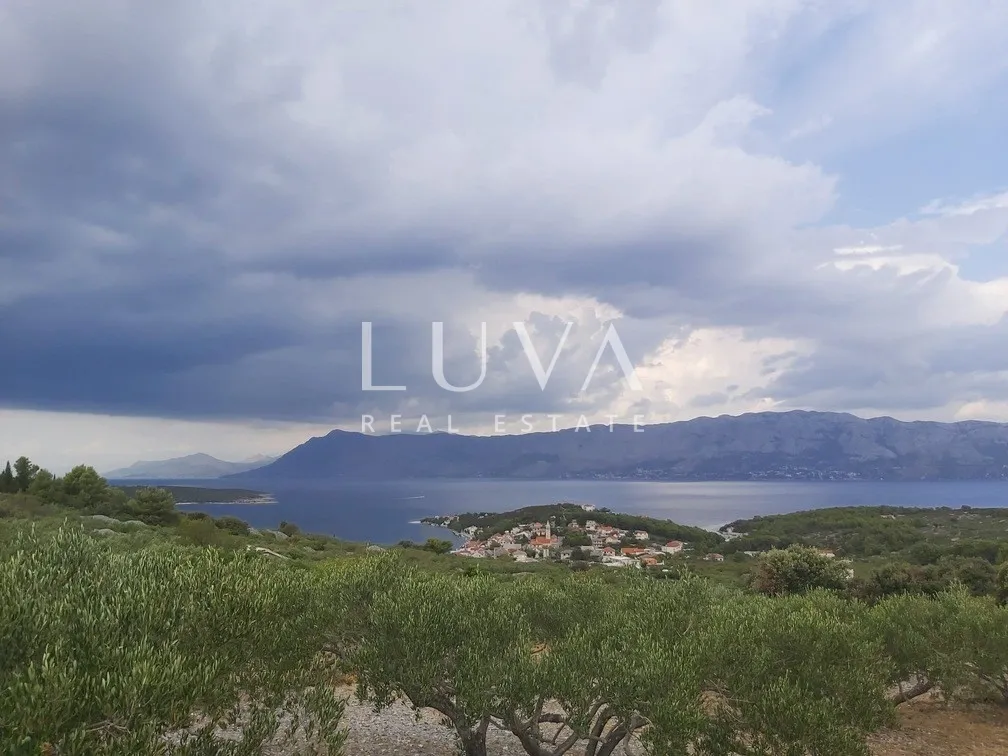 brač, povlja, zemljište s maslinikom i pogledom na more, 3839 m2 - slika 3