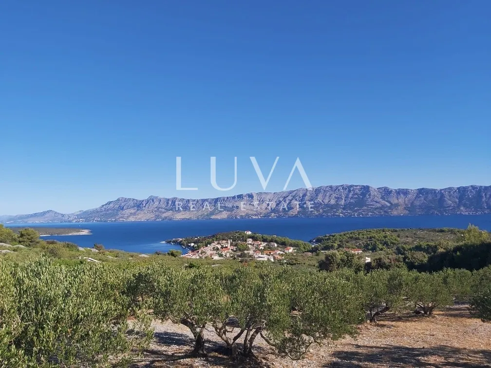 brač, povlja, zemljište s maslinikom i pogledom na more, 3839 m2 - slika 5