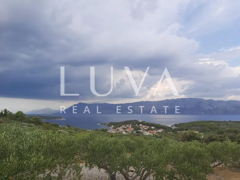 brač, povlja, zemljište s maslinikom i pogledom na more, 3839 m2 - slika 3