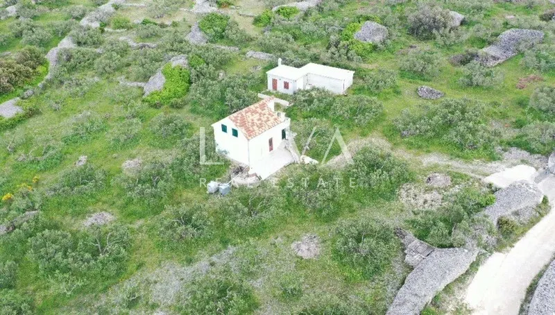 brač, povlja, zemljište s maslinikom i pogledom na more, 3839 m2 - slika 6