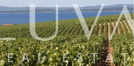 Tisno, Murter, prodaja ljetnikovca na osami, prvi red uz more